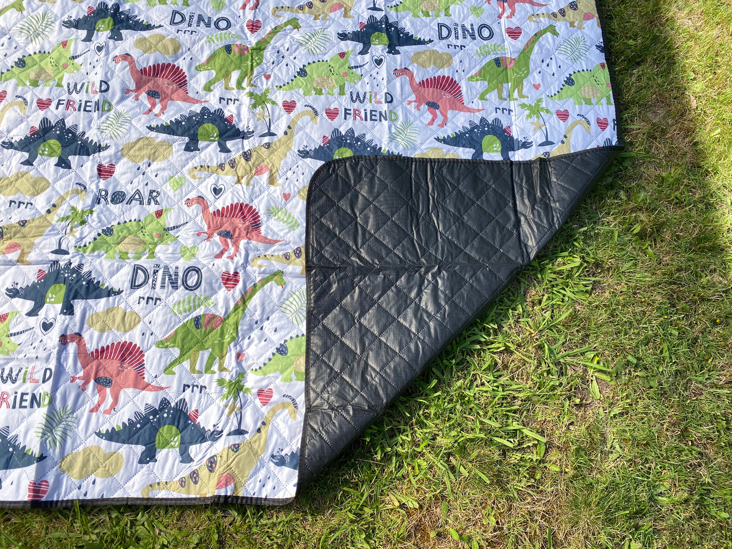 Dino Friends Camping Mat